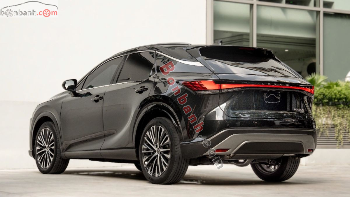 Bán ô tô Lexus RX 350 Premium - 2024 - xe cũ