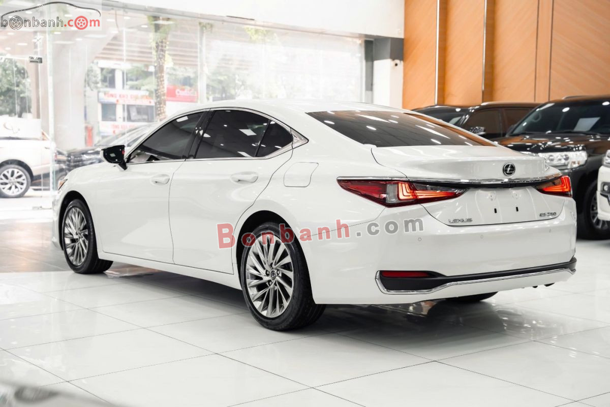 Bán ô tô Lexus ES 250 - 2023 - xe cũ