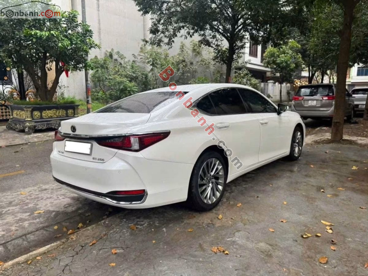 Bán ô tô Lexus ES 250 - 2023 - xe cũ