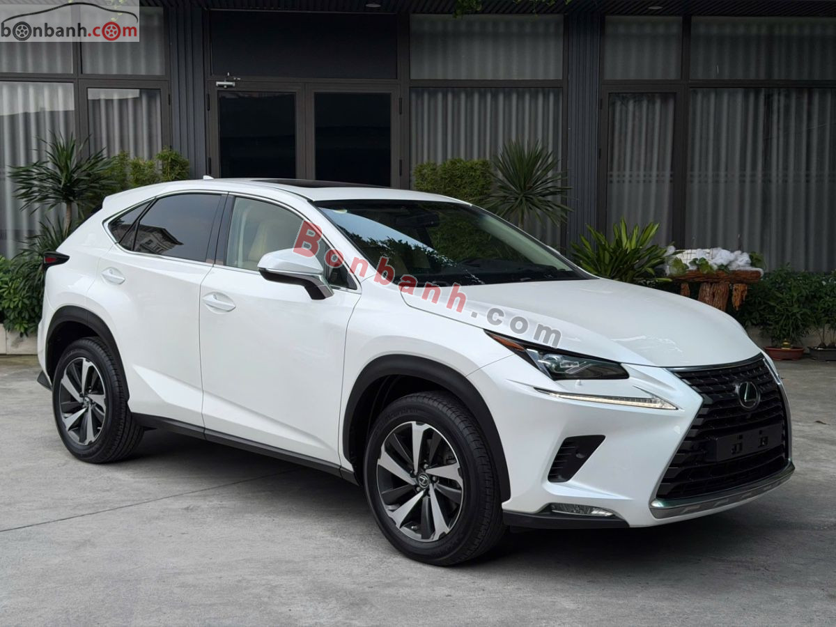 Bán ô tô Lexus NX 300 - 2019 - xe cũ