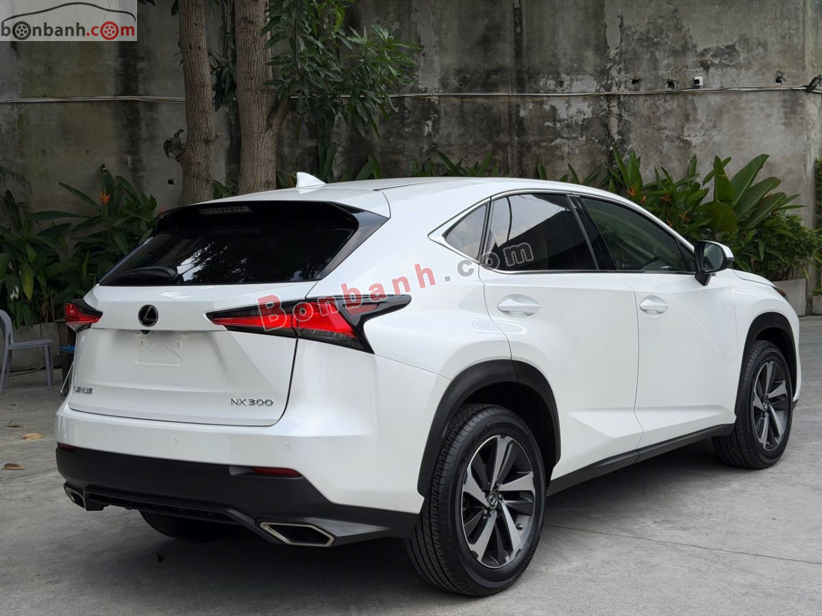 Bán ô tô Lexus NX 300 - 2019 - xe cũ