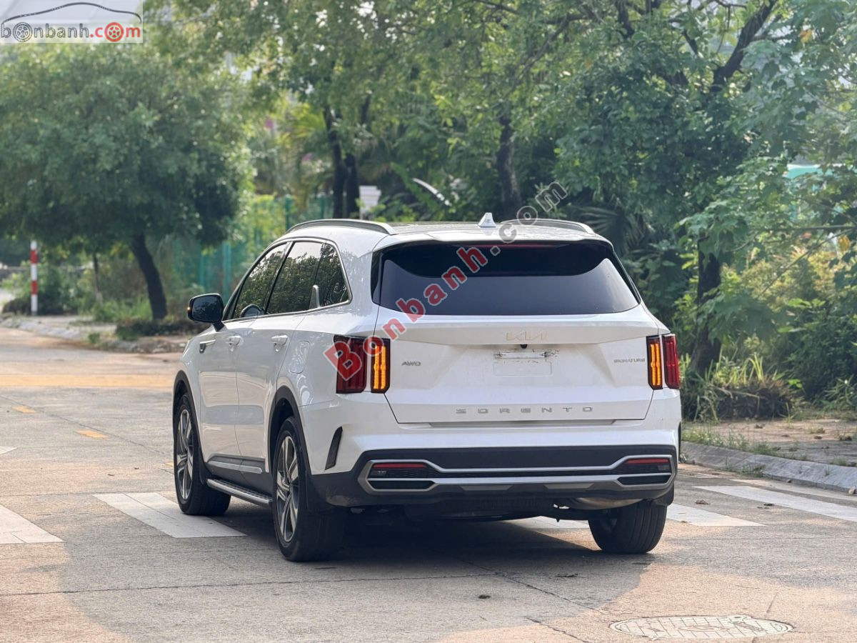 Bán ô tô Kia Sorento Signature 2.2D AT - 2025 - xe cũ