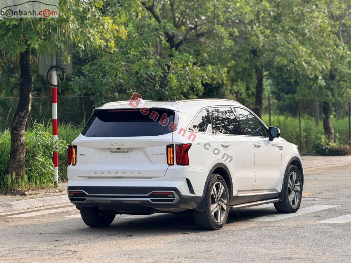 Bán ô tô Kia Sorento Signature 2.2D AT - 2025 - xe cũ